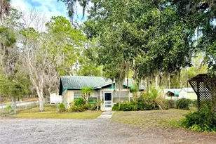 14551 NE 210th Ct Rd, Fort Mc Coy, FL 32134 - Photo 3