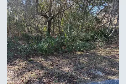 0 Olive Drive, Ocala, FL 34472 - Photo 1