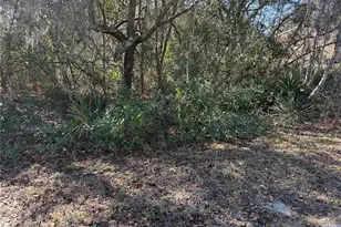 0 Olive Dr, Ocala, FL 34472 - Photo 1