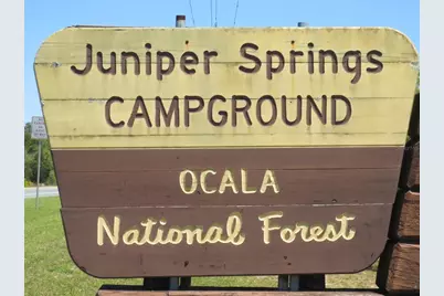 6781 SE 173rd Court, Ocklawaha, FL 32179 - Photo 55