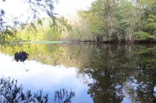 6781 SE 173rd Ct, Ocklawaha, FL 32179 - Photo 41