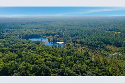 Tbd (Lot 5) NE 115th Lane Road, Fort Mc Coy, FL 32134 - Photo 3
