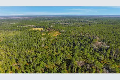 Tbd (Lot 5) NE 115th Lane Road, Fort Mc Coy, FL 32134 - Photo 9