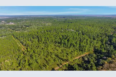Tbd (Lot 5) NE 115th Lane Road, Fort Mc Coy, FL 32134 - Photo 7