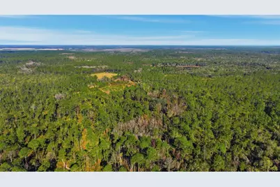 Tbd (Lot 6) NE 115th Lane Road, Fort Mc Coy, FL 32134 - Photo 5