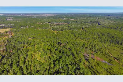 Tbd (Lot 6) NE 115th Lane Road, Fort Mc Coy, FL 32134 - Photo 7