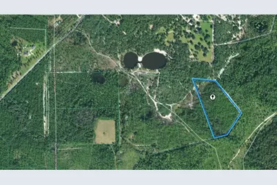 Tbd (Lot 6) NE 115th Lane Road, Fort Mc Coy, FL 32134 - Photo 1