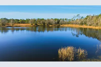 Tbd (Lot 6) NE 115th Lane Road, Fort Mc Coy, FL 32134 - Photo 9