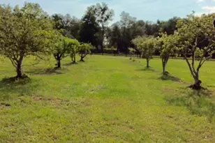 6935 NW Hwy 225A, Ocala, FL 34482 - Photo 63