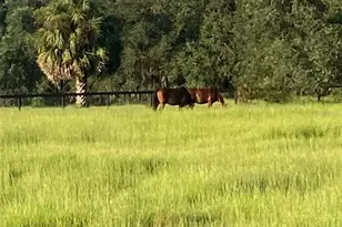 20462 SW 36th St, Dunnellon, FL 34431 - Photo 39