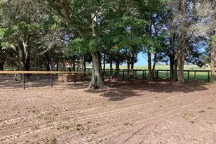 20462 SW 36th St, Dunnellon, FL 34431 - Photo 41