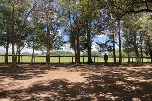 20462 SW 36th St, Dunnellon, FL 34431 - Photo 51