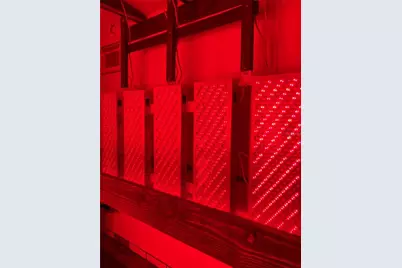 20462 SW 36th Street, Dunnellon, FL 34431 - Photo 49