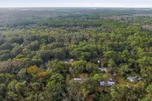 11421 W Red Pine Ct, Crystal River, FL 34428 - Photo 5