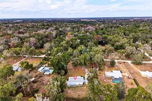 4400 NE 139th Ln, Anthony, FL 32617 - Photo 41