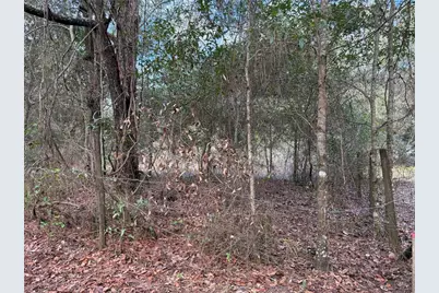 Tbd NE 194th Street, Citra, FL 32113 - Photo 5