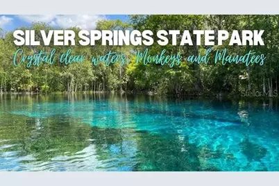 902 NE 130th Terrace, Silver Springs, FL 34488 - Photo 41