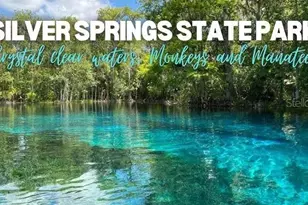 902 NE 130th Terrace, Silver Springs, FL 34488 - Photo 41