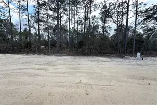 24810 SW Woodland Ave, Dunnellon, FL 34431 - Photo 29