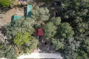 621 NE 165th Terrace, Silver Springs, FL 34488 - Photo 57