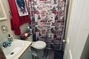 10720 SW 151st Pl, Dunnellon, FL 34432 - Photo 9