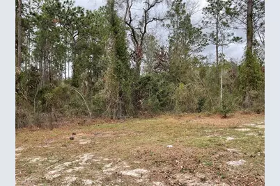 90 NE 132nd Terrace, Williston, FL 32696 - Photo 11