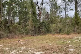90 NE 132 Terrace, Williston, FL 32696 - Photo 11