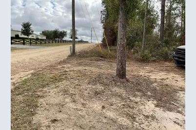 90 NE 132nd Terrace, Williston, FL 32696 - Photo 13