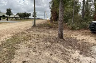 90 NE 132 Terrace, Williston, FL 32696 - Photo 13