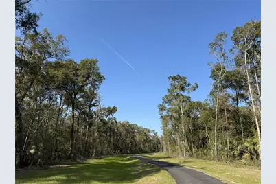 Irvine Acres #3 (10Ac) W Hwy 318, Reddick, FL 32686 - Photo 15