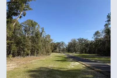 Irvine Acres #3 (10Ac) W Hwy 318, Reddick, FL 32686 - Photo 7