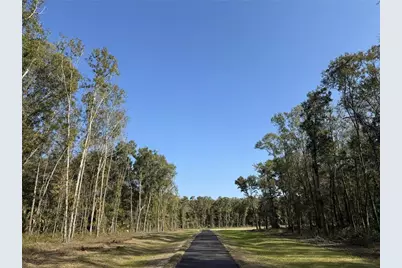 Irvine Acres #3 (10Ac) W Hwy 318, Reddick, FL 32686 - Photo 1