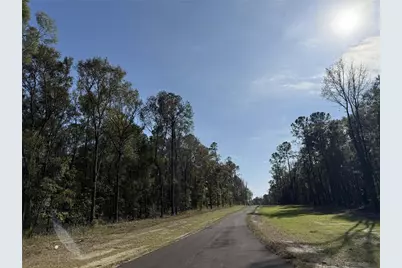 Irvine Acres #3 (10Ac) W Hwy 318, Reddick, FL 32686 - Photo 11