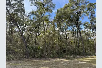 Irvine Acres #3 (10Ac) W Hwy 318, Reddick, FL 32686 - Photo 5