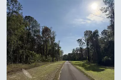 Irvine Acres #3 (10Ac) W Hwy 318, Reddick, FL 32686 - Photo 13