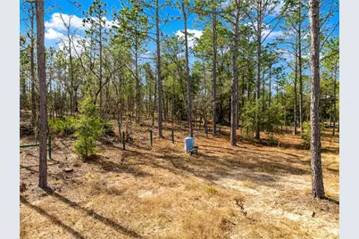 Tbd SW 121st Terrace, Dunnellon, FL 34432 - Photo 3