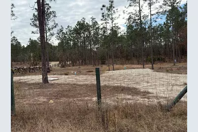Tbd SW 121st Terrace, Dunnellon, FL 34432 - Photo 11