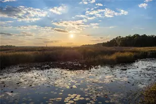 23422 NE 154th Place Rd, Salt Springs, FL 32134 - Photo 27