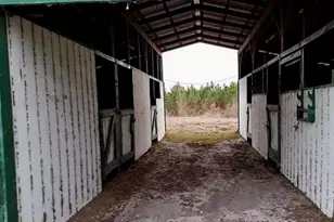 11475 167th Rd, Live Oak, FL 32060 - Photo 11