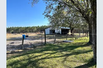 11475 167th Road, Live Oak, FL 32060 - Photo 9