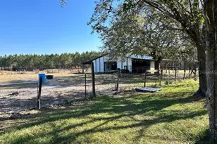 11475 167th Rd, Live Oak, FL 32060 - Photo 9