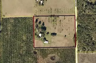 11475 167th Rd, Live Oak, FL 32060 - Photo 5