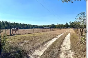 11475 167th Rd, Live Oak, FL 32060 - Photo 3