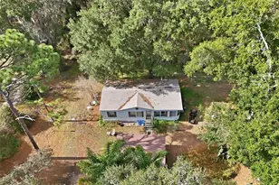 3932 Co Rd 507, Wildwood, FL 34785 - Photo 19