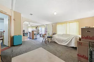 3932 Co Rd 507, Wildwood, FL 34785 - Photo 29