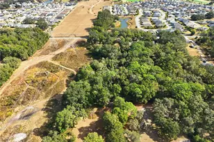 3932 Co Rd 507, Wildwood, FL 34785 - Photo 1