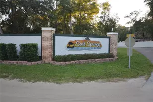 25144 NE 140th Loop, Fort Mc Coy, FL 32134 - Photo 17