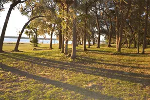 25144 NE 140th Loop, Fort Mc Coy, FL 32134 - Photo 19