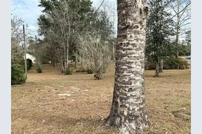 17403 SW 27th Court Road, Ocala, FL 34473 - Photo 13