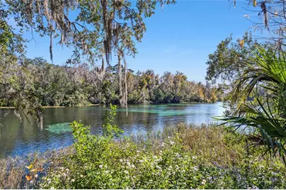 9965 SW 192nd Circle, Dunnellon, FL 34432 - Photo 45